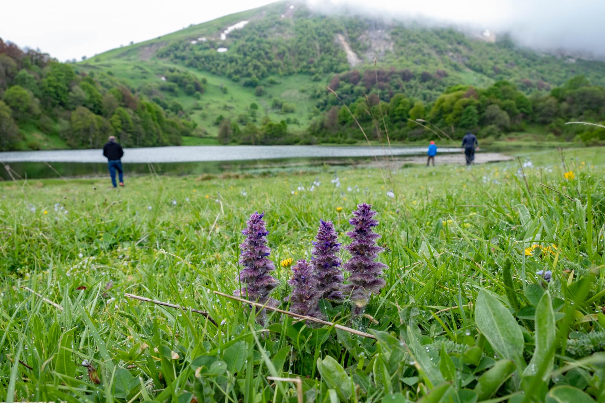 Місто-фортеця, гори та озера: нерозкручені локації Грузії, про які рідко пишуть у путівниках